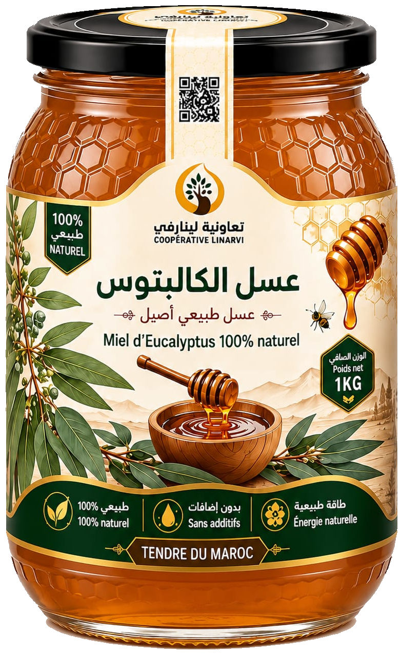 Eucalyptus — Coopérative Linarvi